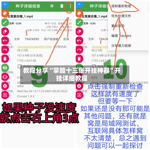 教程分享“掌酷十三张开挂神器”开挂详细教程-第1张图片