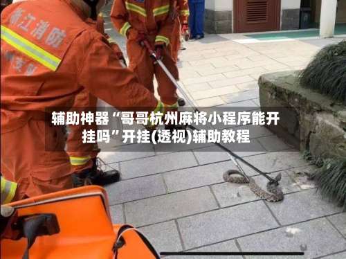 辅助神器“哥哥杭州麻将小程序能开挂吗”开挂(透视)辅助教程-第3张图片