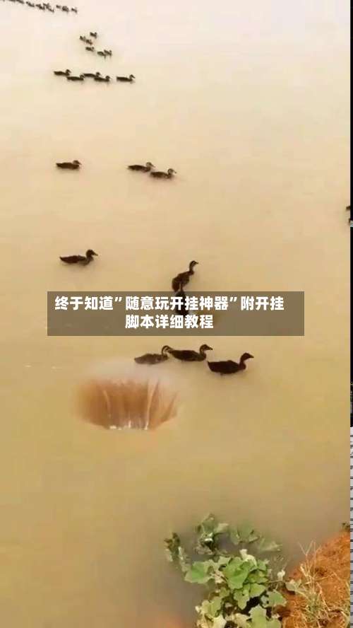 终于知道”随意玩开挂神器”附开挂脚本详细教程-第2张图片