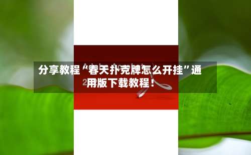 分享教程“春天扑克牌怎么开挂”通用版下载教程！-第1张图片