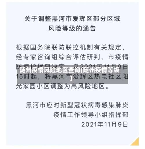 随州疫情风险地区查询(随州疫情等级)-第3张图片