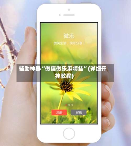 辅助神器“微信微乐麻将挂”(详细开挂教程)-第3张图片