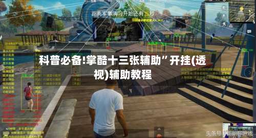 科普必备!掌酷十三张辅助”开挂(透视)辅助教程-第1张图片