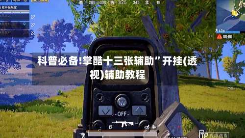 科普必备!掌酷十三张辅助	”开挂(透视)辅助教程-第2张图片