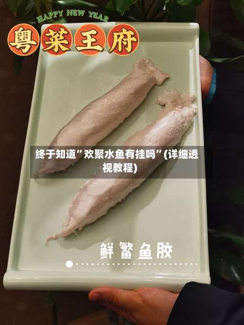 终于知道	”欢聚水鱼有挂吗”(详细透视教程)-第1张图片