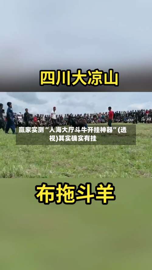 赢家实测“人海大厅斗牛开挂神器	”(透视)其实确实有挂-第2张图片