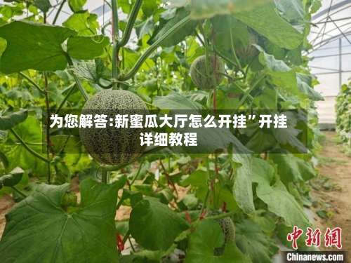 为您解答:新蜜瓜大厅怎么开挂	”开挂详细教程-第1张图片