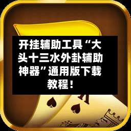 开挂辅助工具“大头十三水外卦辅助神器	”通用版下载教程！-第2张图片