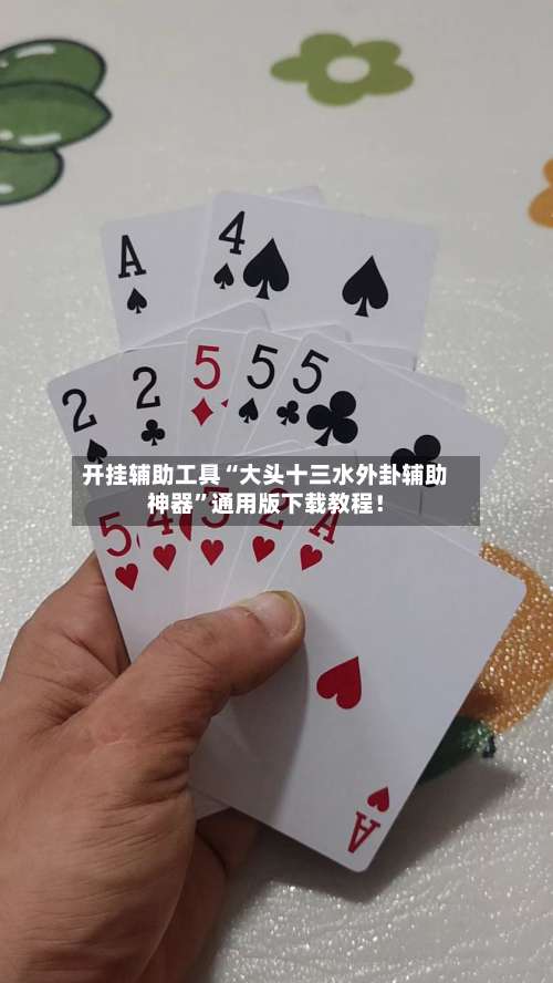 开挂辅助工具“大头十三水外卦辅助神器”通用版下载教程！-第1张图片