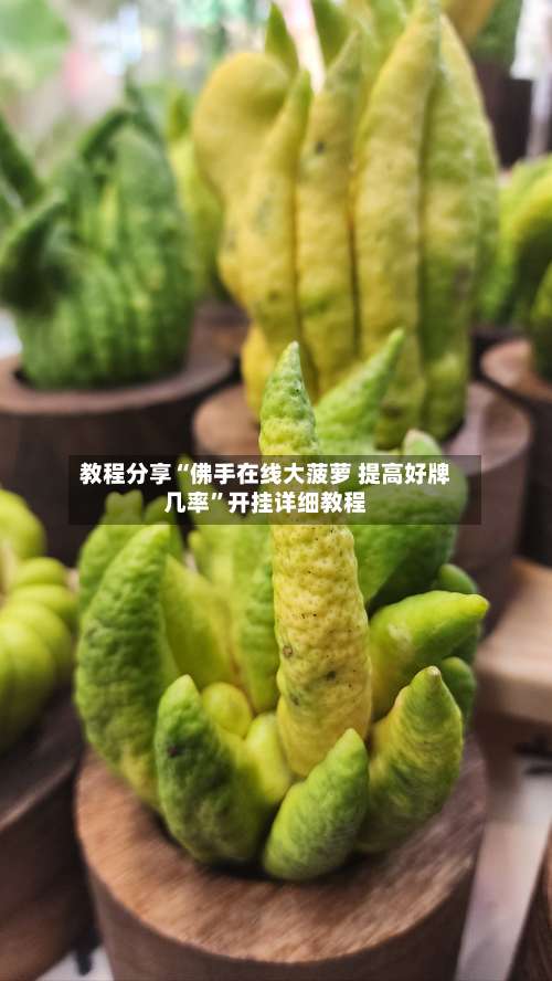 教程分享“佛手在线大菠萝 提高好牌几率”开挂详细教程-第1张图片