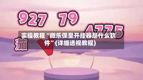 实操教程“微乐保皇开挂器是什么软件”(详细透视教程)-第1张图片